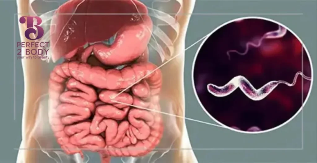 أفضل طرق علاج الدزنتري بالأعشاب